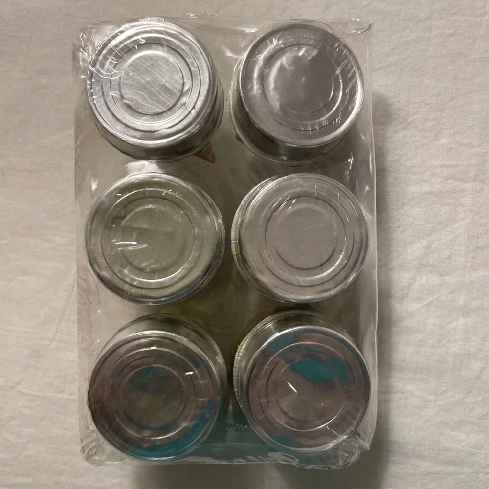 Succulent and Cactus Tealight Candles Set of 6